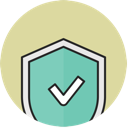 Secure Icon